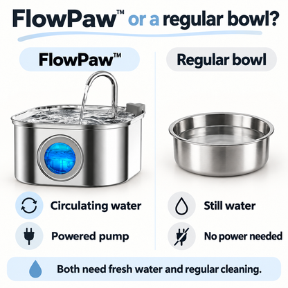 FlowPaw circulating powered fountain versus a regular still-water bowl; both need fresh water and cleaning