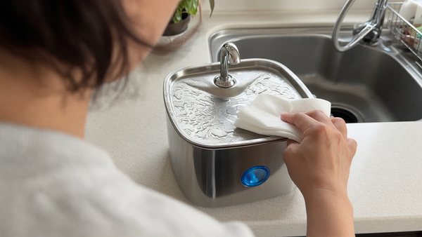 FlowPaw UGC floater 06 — pet hydration