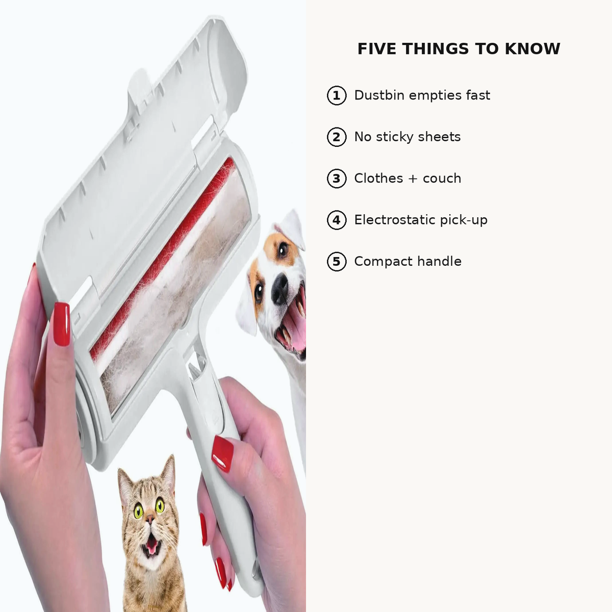 Five things to know