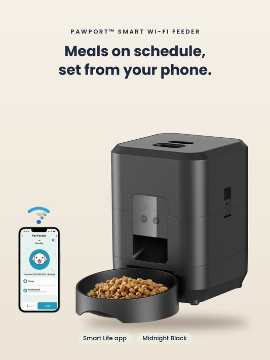 PawPort™ Smart Wi-Fi Feeder in Midnight Black next to a phone showing the Smart Life app