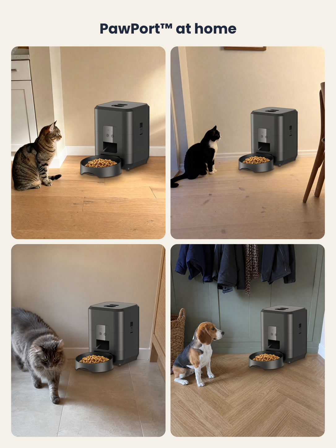 PawPort™ Wi-Fi Feeder in Midnight Black in four different homes with cats and a dog