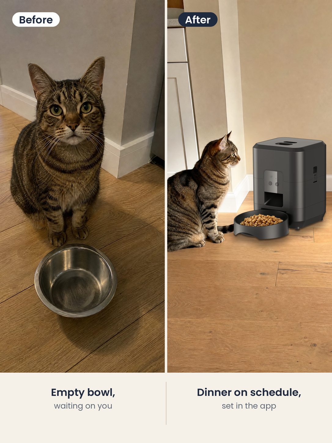 Before and after PawPort™ in Midnight Black: empty bowl, then dinner served on schedule