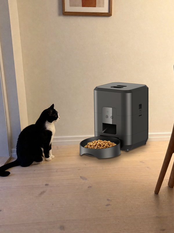 Pet beside a Midnight Black PawPort™ Wi-Fi Feeder at home
