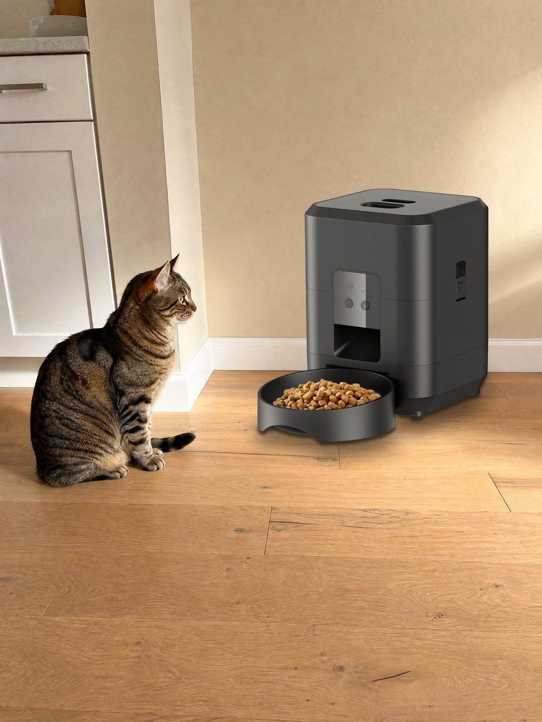 Cat beside a Midnight Black PawPort™ Wi-Fi Feeder with a full bowl