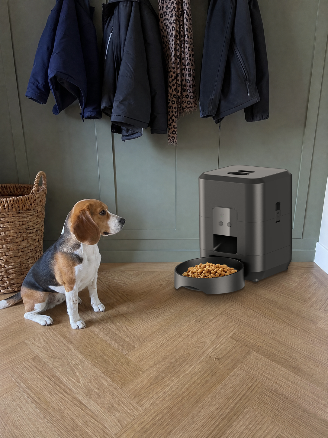 Dog sitting beside a Midnight Black PawPort™ Wi-Fi Feeder in a hallway