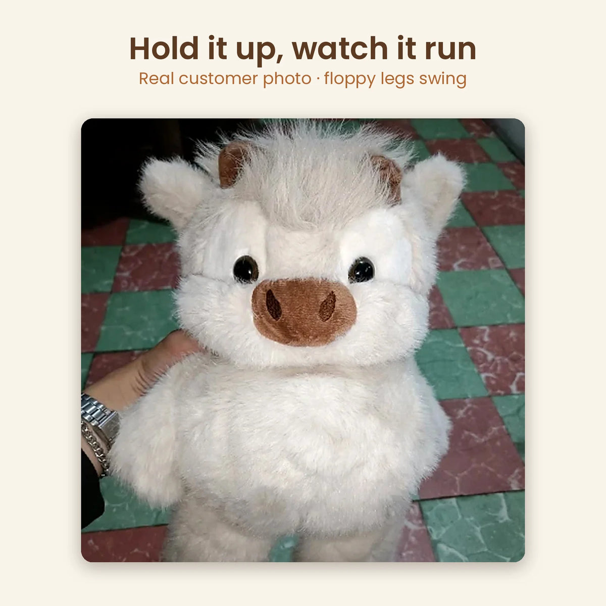 Customer photo: cream highland calf plush held up