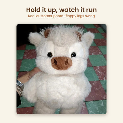 Customer photo: cream highland calf plush held up